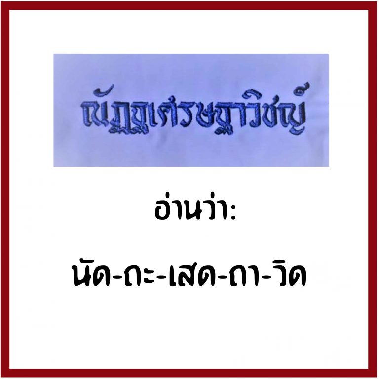 My Image 28